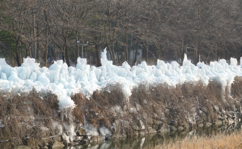 상소동 산림욕장