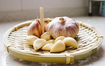 통마늘 지퍼백 보관 효과 오래 보관하는 방법_16