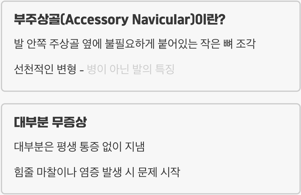 내 발에만 있는 '액세서리 뼈'의 정체