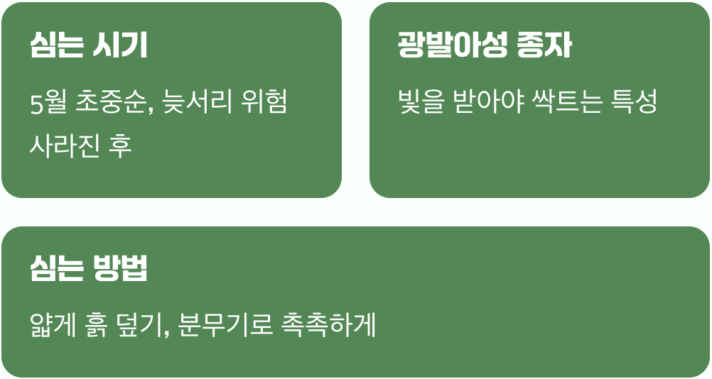 씨앗과의 첫 만남, 심는 법의 비밀