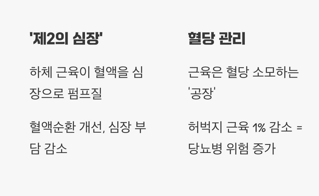 다리가 튼튼해야 혈관도 젊어진다, '제2의 심장'
