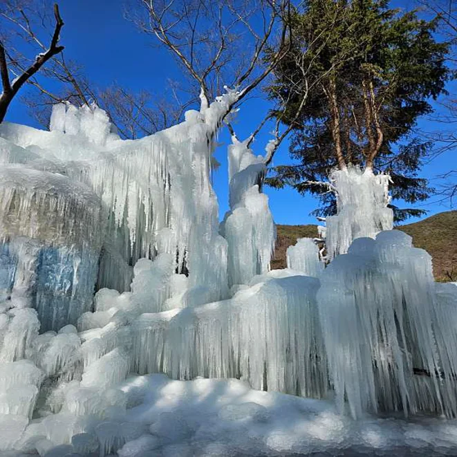 참샘허브나라