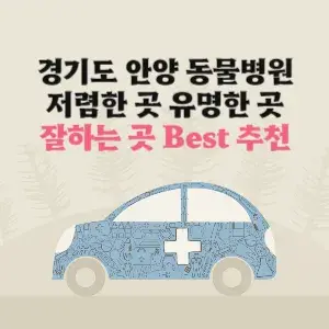 경기도 안양 동물병원 잘하는 곳 가격 저렴한 곳 추천