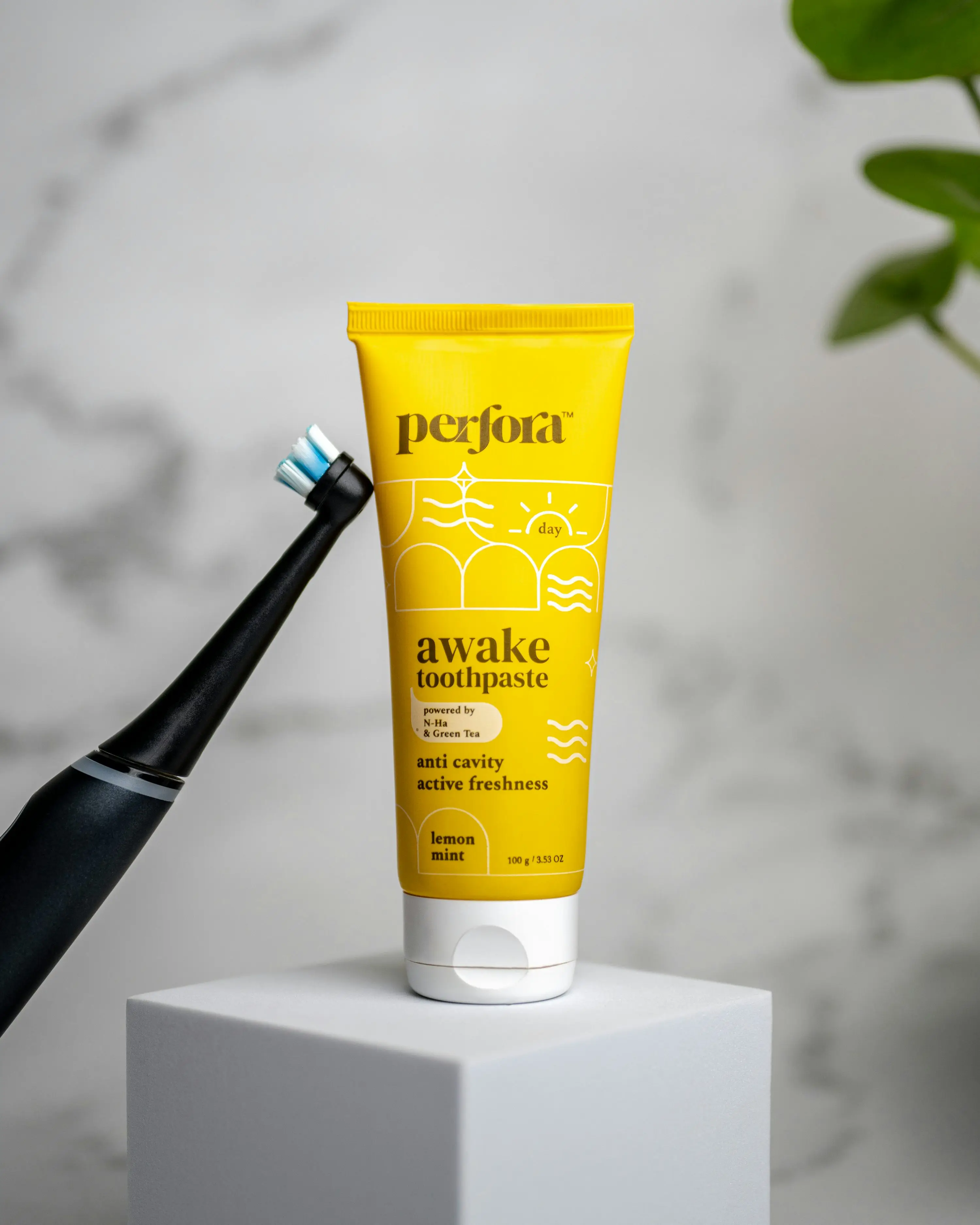 2080치약 리콜 회수제품 리콜 환불방법 (+2080치약 리콜 완벽가이드)