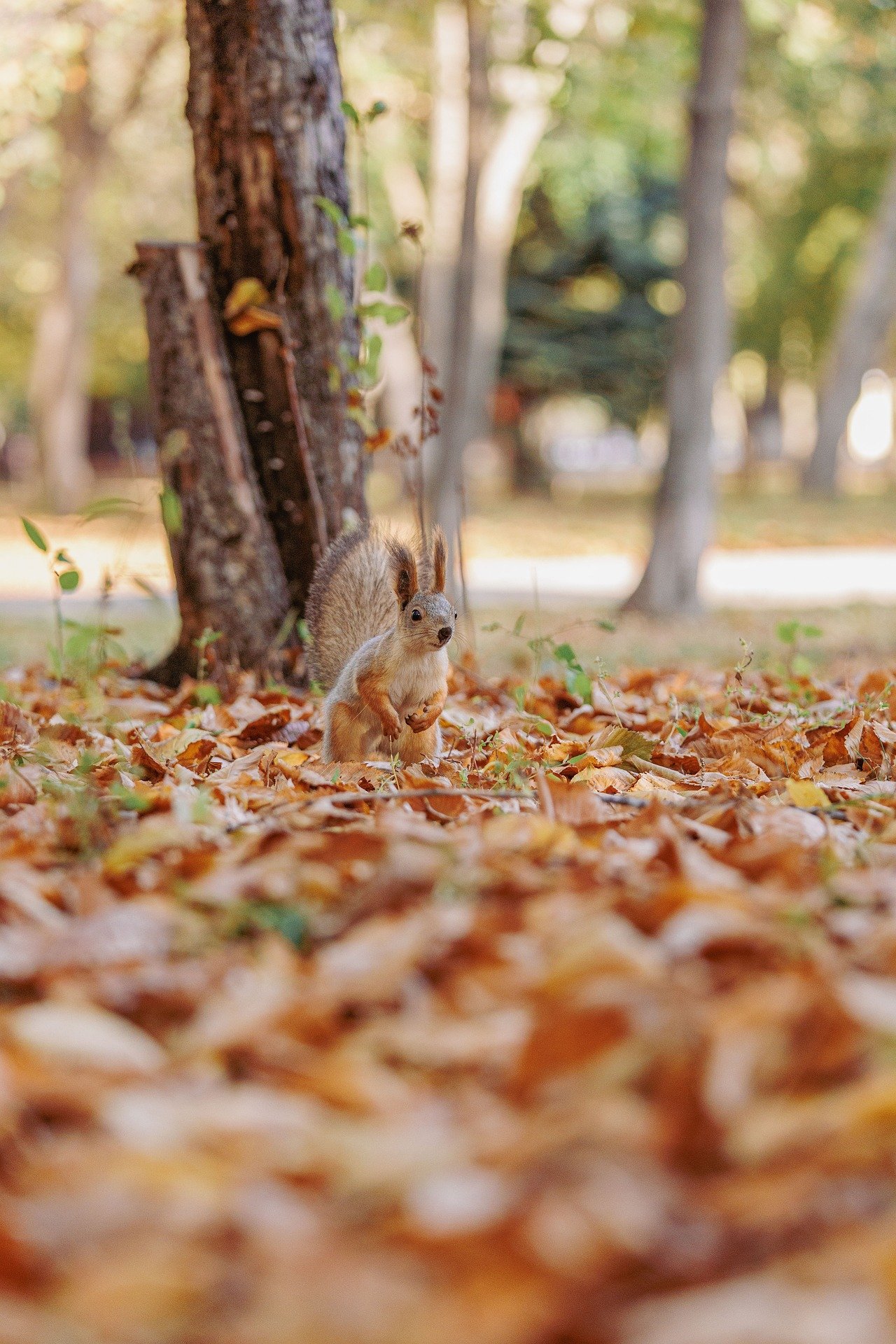 토지투자의 기본 개념과 부동산 투자와의 근본적인 차이