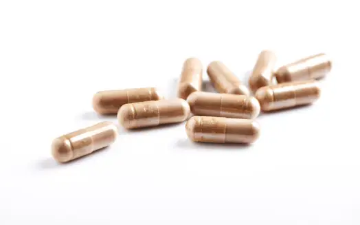 영지버섯 효능 효과 및 부작용 먹는 방법