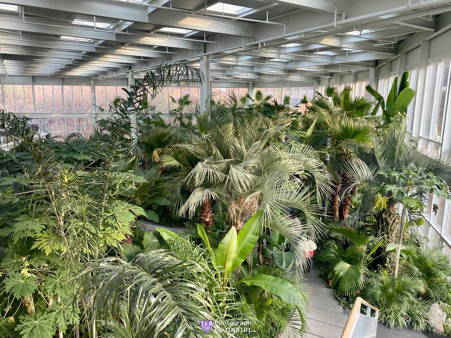 경기도 파주 대형 식물원 베이커리 브런치 카페 서울근교