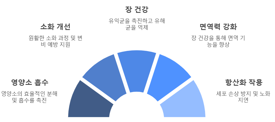 카무트 효소 효능