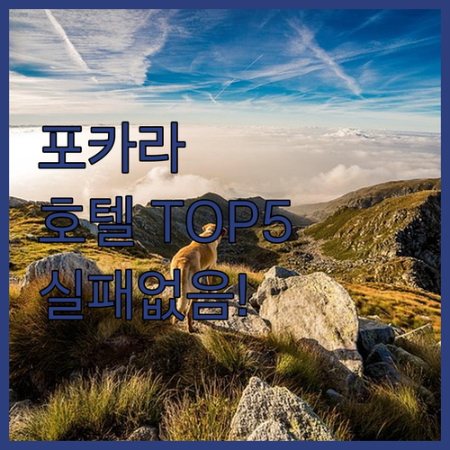 네팔 포카라 호텔 추천 TOP 5 위..