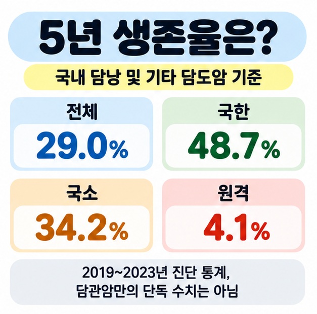 국내 담낭 및 기타 담도암의 2019년부터 2023년 5년 상대생존율이 전체 29.0%, 국한 48.7%, 국소 34.2%, 원격 4.1%임을 정리한 카드