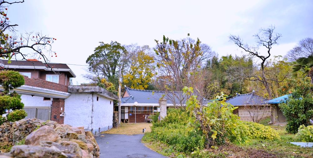 도갑리 죽정마을 돌담길