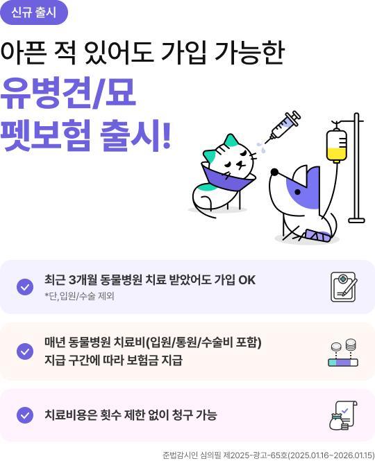 펫보험 비교 추천 총정리