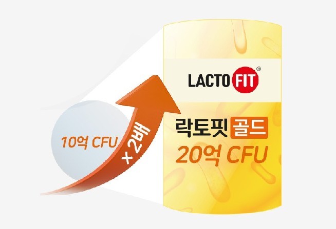 종근당건강 락토핏 생유산균 골드 80포 인기 추천 이유