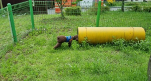 반려견과 함께하는 전국휴게소