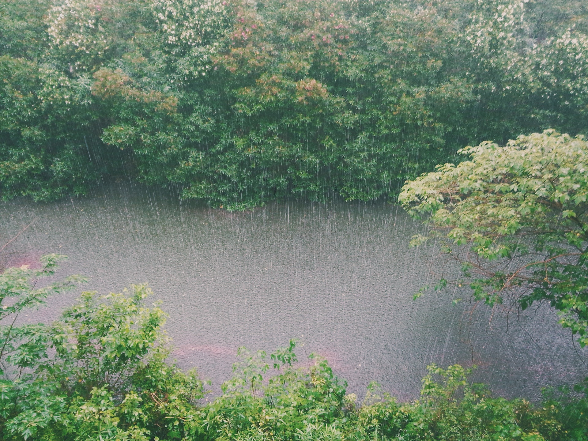 오늘의 일기 - OGIM (Oh God. It's Monday.)