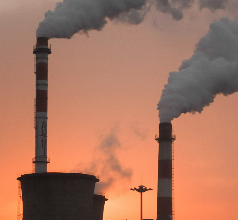 지속 가능한 경제와 그 중요성