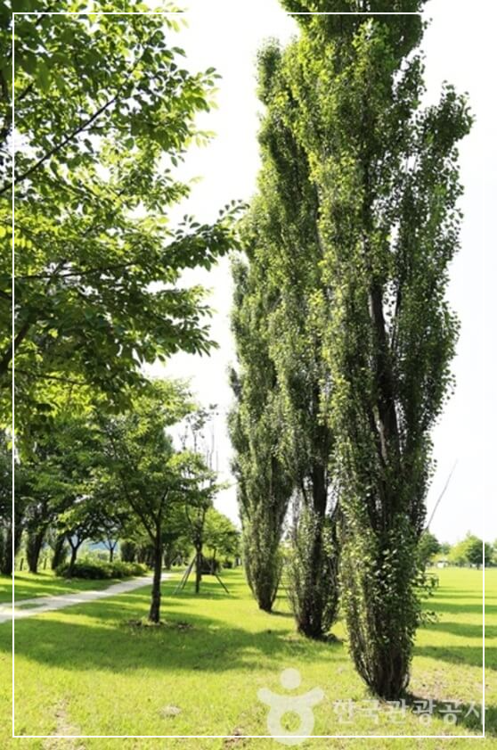 여주 가볼만한곳 베스트10 강천섬 둘레길