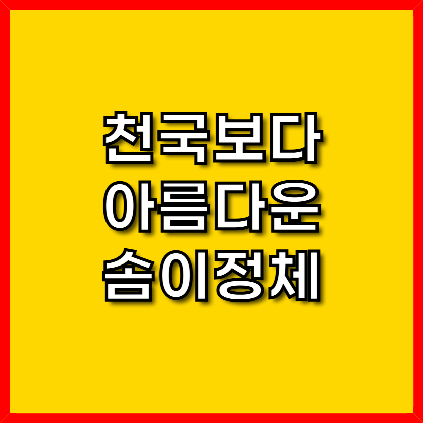 천국보다 아름다운 솜이