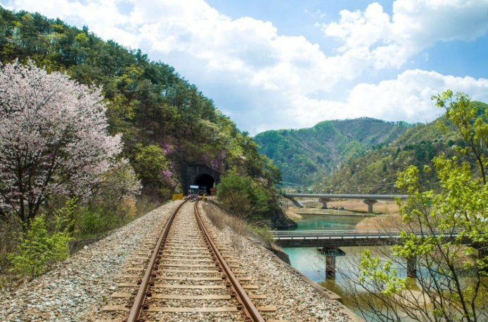 원주레일파크
