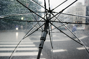 #2025장마 #장마대비 #장마철건강관리 #장마철집관리 #장마철꿀팁 #여름건강관리 #집중호우대비 #생활정보 #습기관리 #장마일상#장마철차량관리#장마철반려동물#장마철비상용품#장마철외출준비