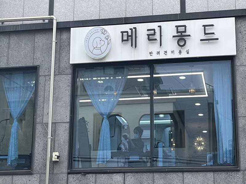 4. 메리몽드 펫살롱 소개