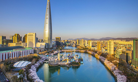 벚꽃 개화시기 2025