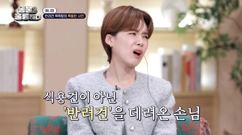 식용견 업자 반려견 목욕탕 운영으로 바뀐 멋진 사연
