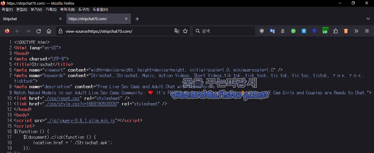 Stripchat 웹소스