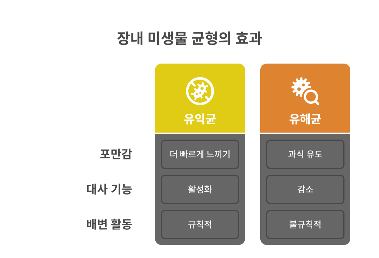 장내 균형을 잡아야 다이어트가 쉬워져요