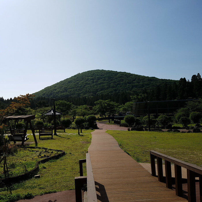 제주 붉은오름 자연휴양림 숲속야영장