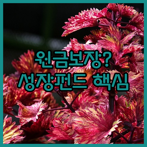 국민성장펀드 안정성 확보 방안과 과거..