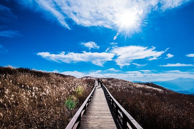 황매산 철쭉축제 근처 맛집 추천! 현지인 인정 합천·산청 밥집 BEST 5 (2025년)