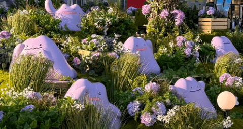 석촌호수 메타몽 데이트 추천