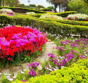 꼭 가야하는 축제 BEST 5곳