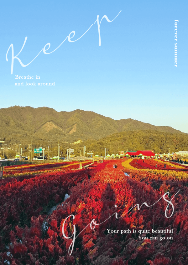 철원 고석정꽃밭 온천 여행꿀팁