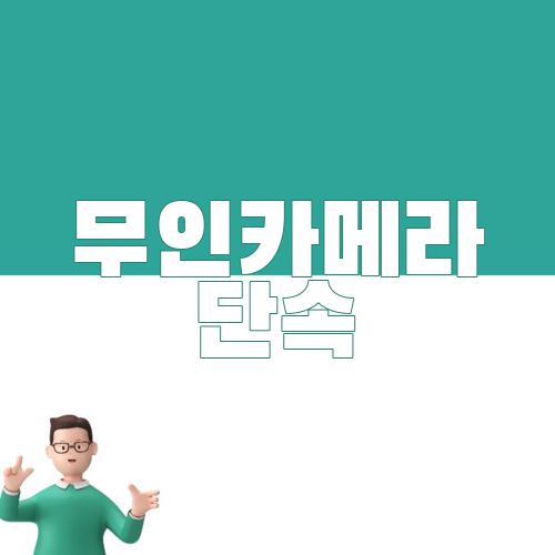무인카메라 단속