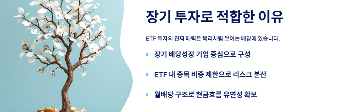 장기 투자로 적합한 이유