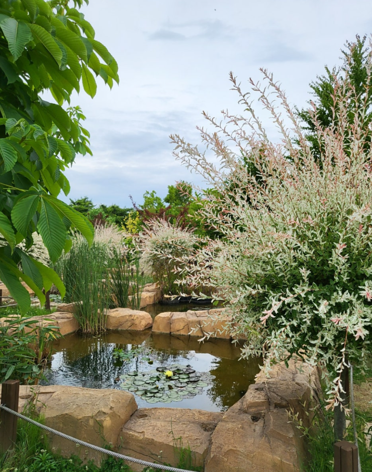 대부도 가볼만한곳 베스트10