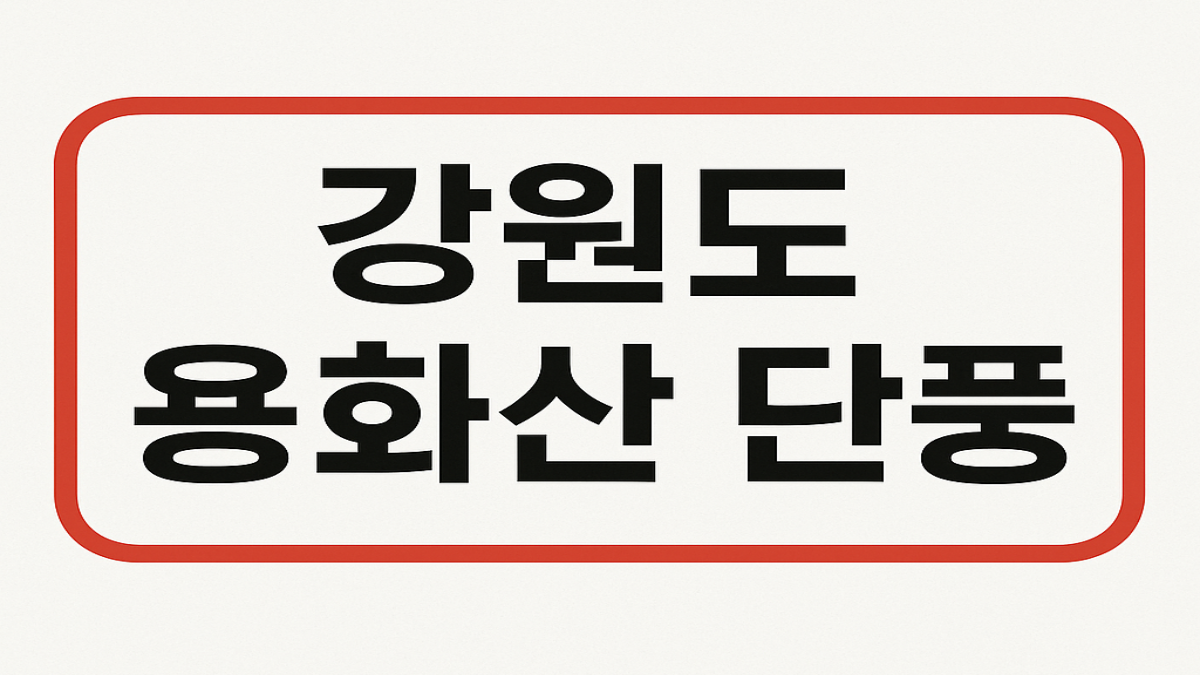 강원도 용화산 단풍 여행 ❘ 절정 시기·등산 코스·주차 정보 총정리