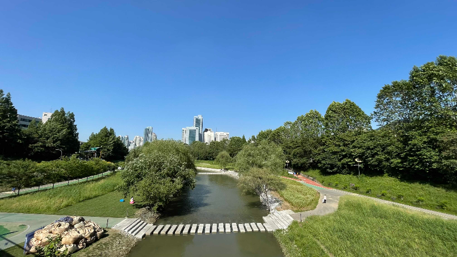 양재천 나들이 시작