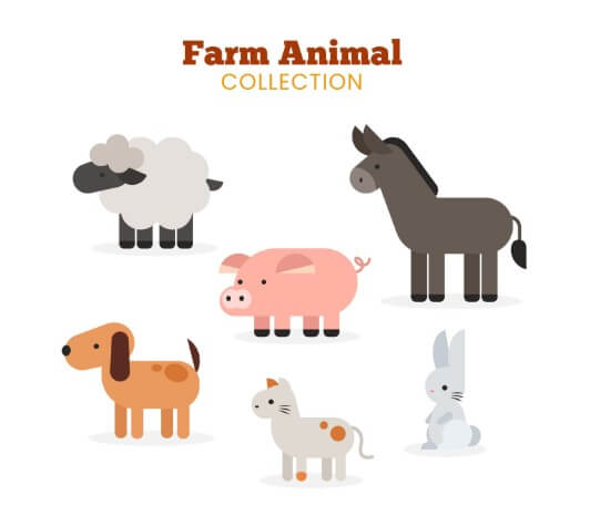 2026년 병오년 말띠의 해