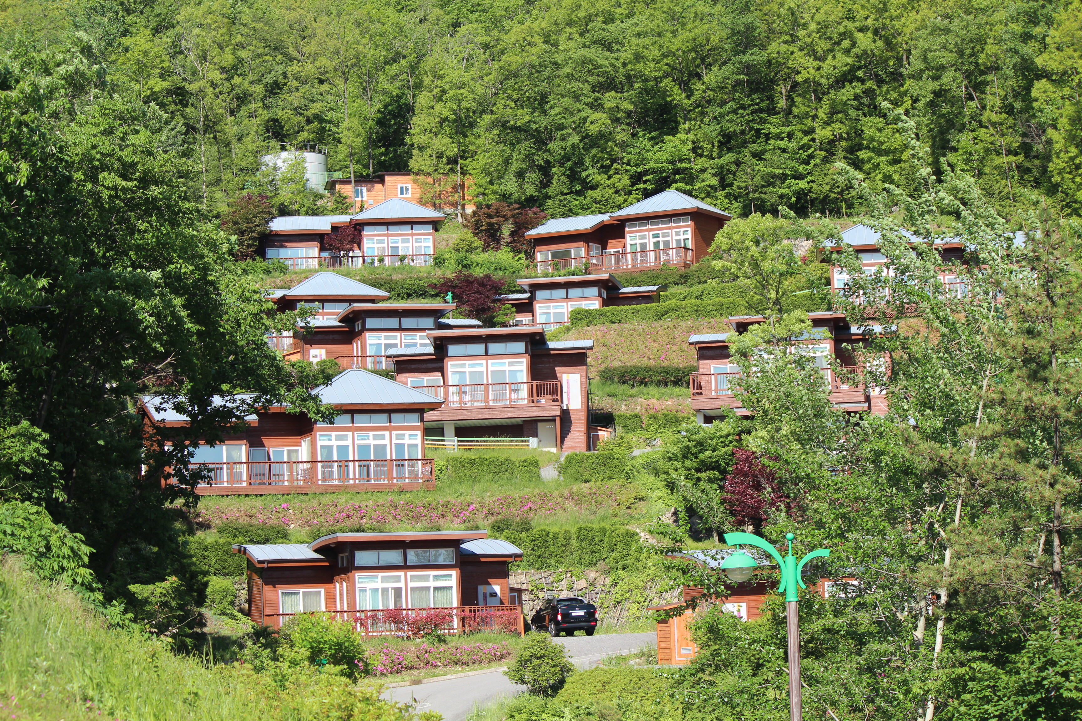 남 보성 제암산자연휴양림 내부의 푸른 숲과 현대적인 산림휴양관 건물이 조화를 이루고 있는 평화로운 풍경