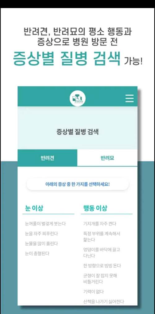 펫트라슈증상확인