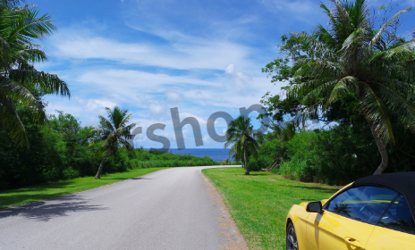 75세 이상자 운전면허증 갱신