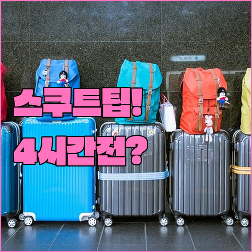 스쿠트 항공 이용 시 수하물 추가 방..