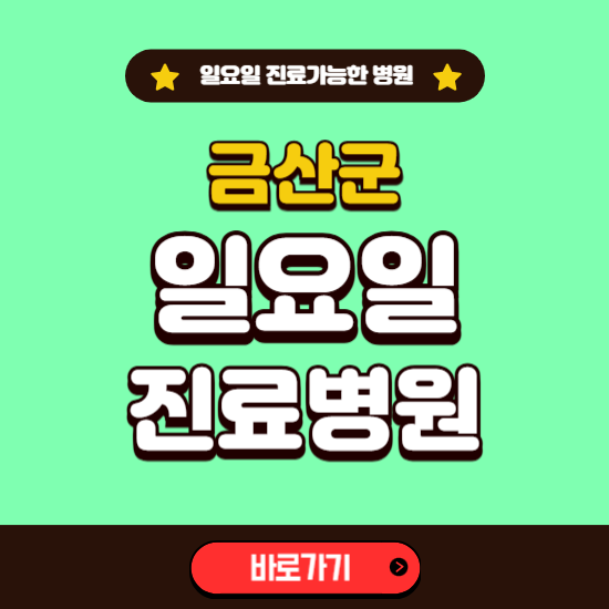 금산군 일요일 진료 가능한 병원 ❘ 주말 문여는 곳 총정리 (소아과, 내과, 안과, 치과, 피부과, 정형외과, 산부인과)