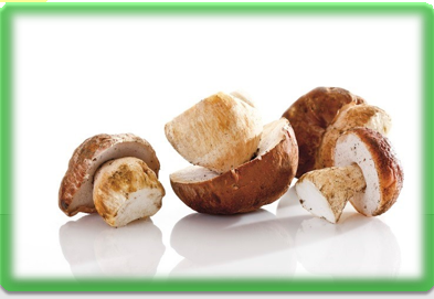 치매에 좋은 식품 버섯