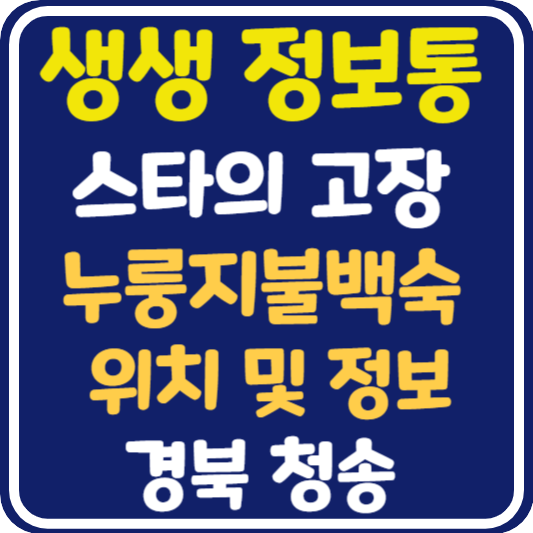 생생 정보통 청송 누룽지불백숙 위치 및 정보 : 믿고 떠나는 스타의 고장