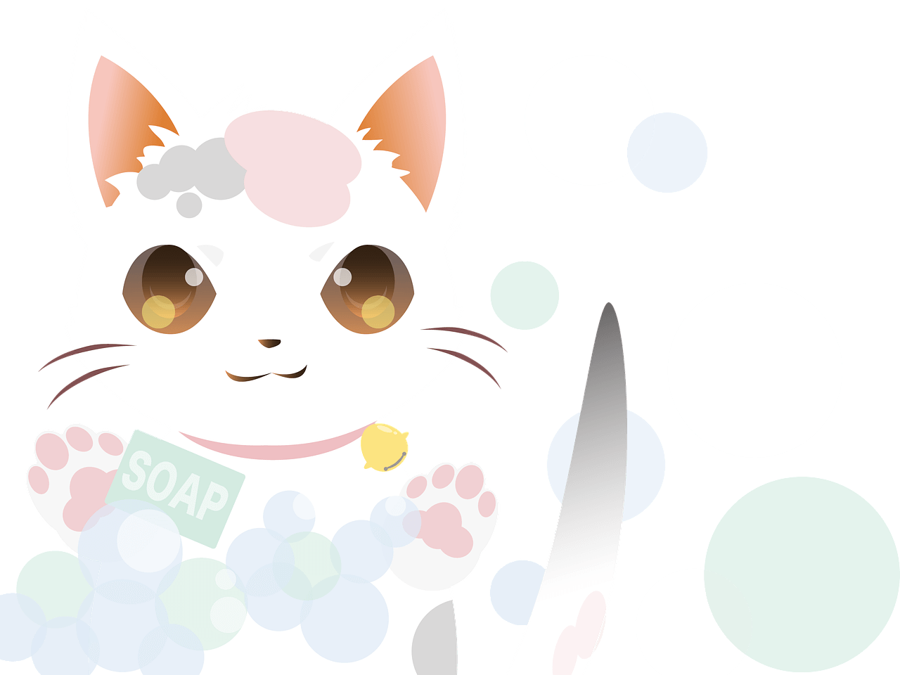 썬크림(자외선 차단제) 알아보기