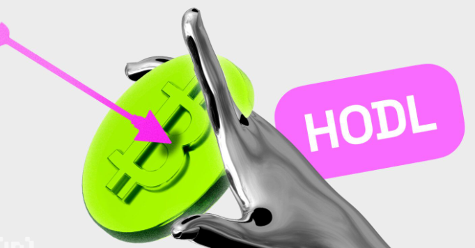 암호화폐 유행어 '호들(HODL)' 유래 의미, 투자 전략 정리